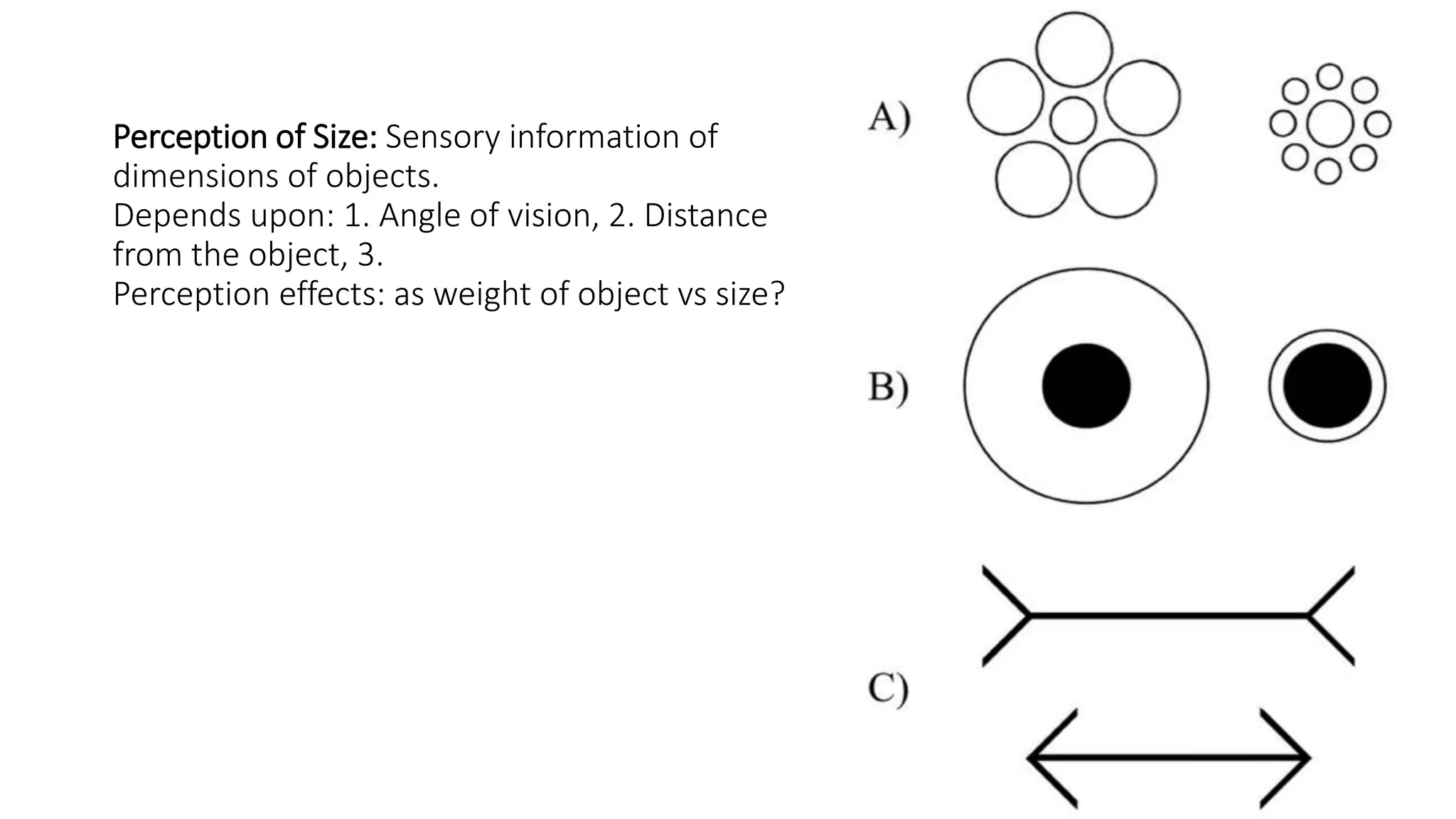 Perception of Size: Sensory information of
dimensions of objects.
Depends upon: 1. Angle of vision, 2. Distance
from the object, 3.
Perception effects: as weight of object vs size?
 