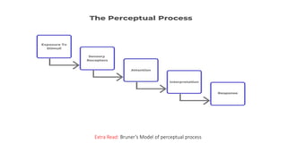 Extra Read: Bruner’s Model of perceptual process
 