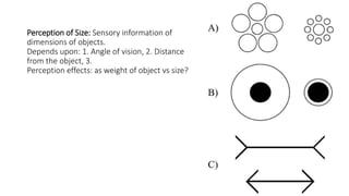 Perception of Size: Sensory information of
dimensions of objects.
Depends upon: 1. Angle of vision, 2. Distance
from the object, 3.
Perception effects: as weight of object vs size?
 