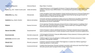 Plant Tissue Culture : Introduction, Types, Application, GHPP, Plant ...