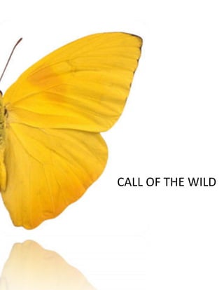 CALL OF THE WILD
 