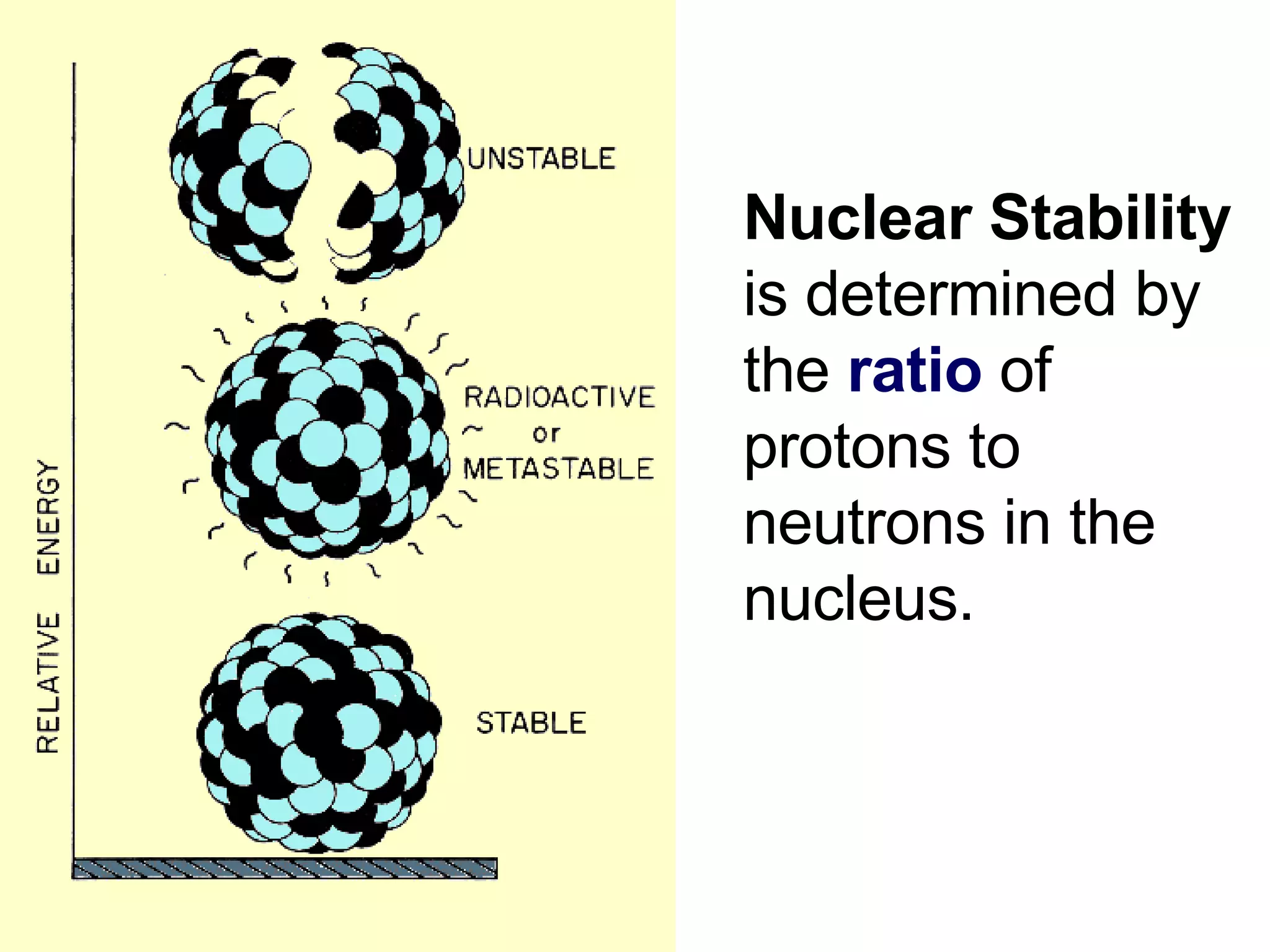 Nuclear Stability  is determined by the  ratio  of protons to neutrons in the nucleus.  