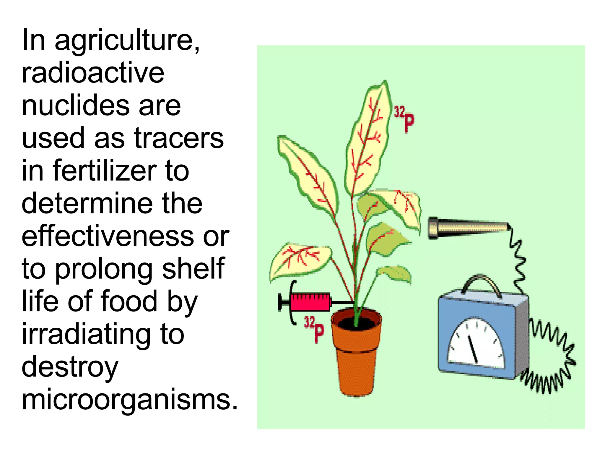 In agriculture, radioactive nuclides are used as tracers in fertilizer to determine the effectiveness or to prolong shelf life of food by irradiating to destroy microorganisms. 