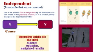 Independent
(A variable that we can control)
Cause
X Y
Independent Variable (IV)
also called
exposure,
explanatory,
manipulated variables 60
This is the variable that is manipulated by the researcher. It is
also known as the predictor variable, as it is used to predict
changes in the dependent variable.
 