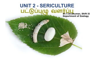 UNIT 2 - SERICULTURE
பட்டுப்புழு வளர்ப்பு
Dr.T.Sivakumar, Shift II
Department of Zoology
 