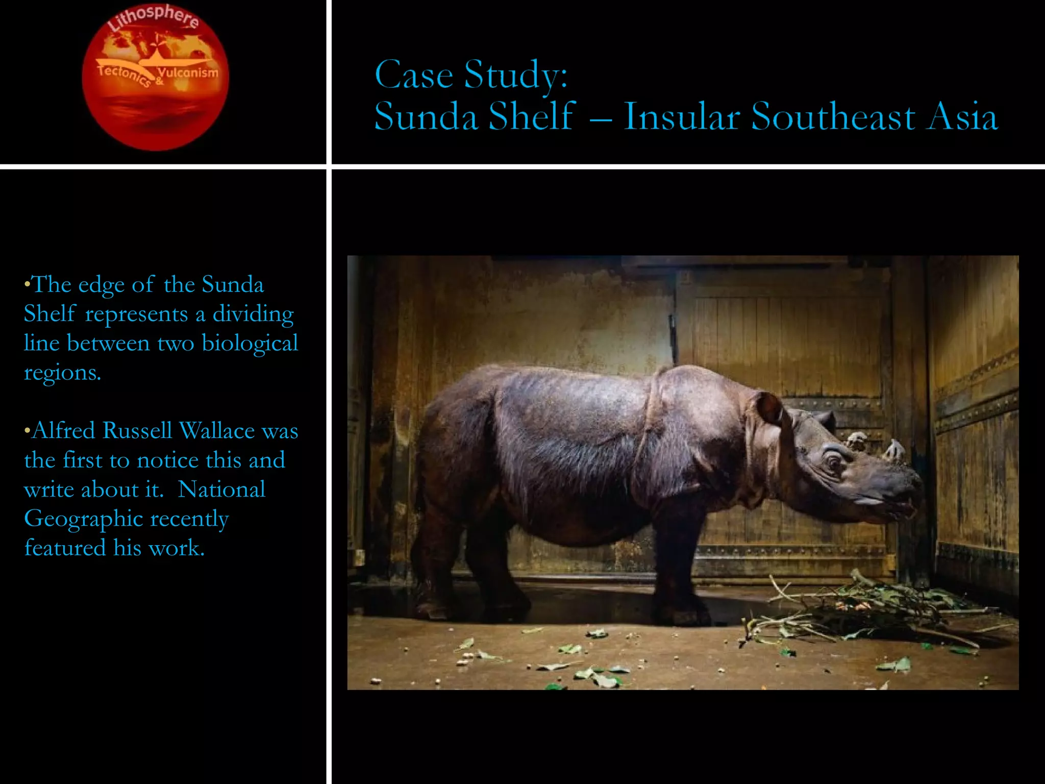 The edge of the Sunda Shelf represents a dividing line between two biological regions.  Alfred Russell Wallace was the first to notice this and write about it.  National Geographic recently featured his work. 