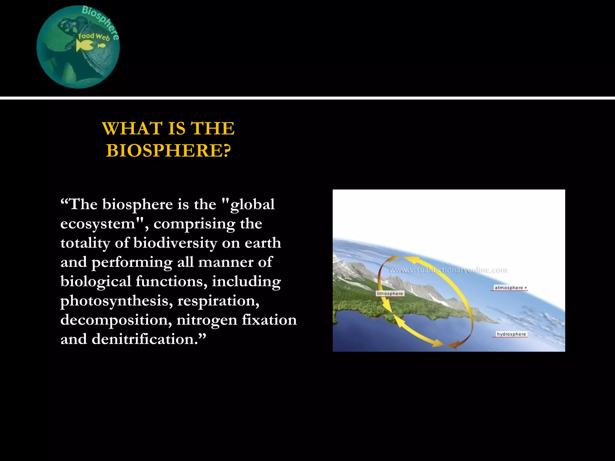 WHAT IS THE BIOSPHERE?   “ The biosphere is the &quot;global ecosystem&quot;, comprising the totality of biodiversity on earth and performing all manner of biological functions, including photosynthesis, respiration, decomposition, nitrogen fixation and denitrification.” 
