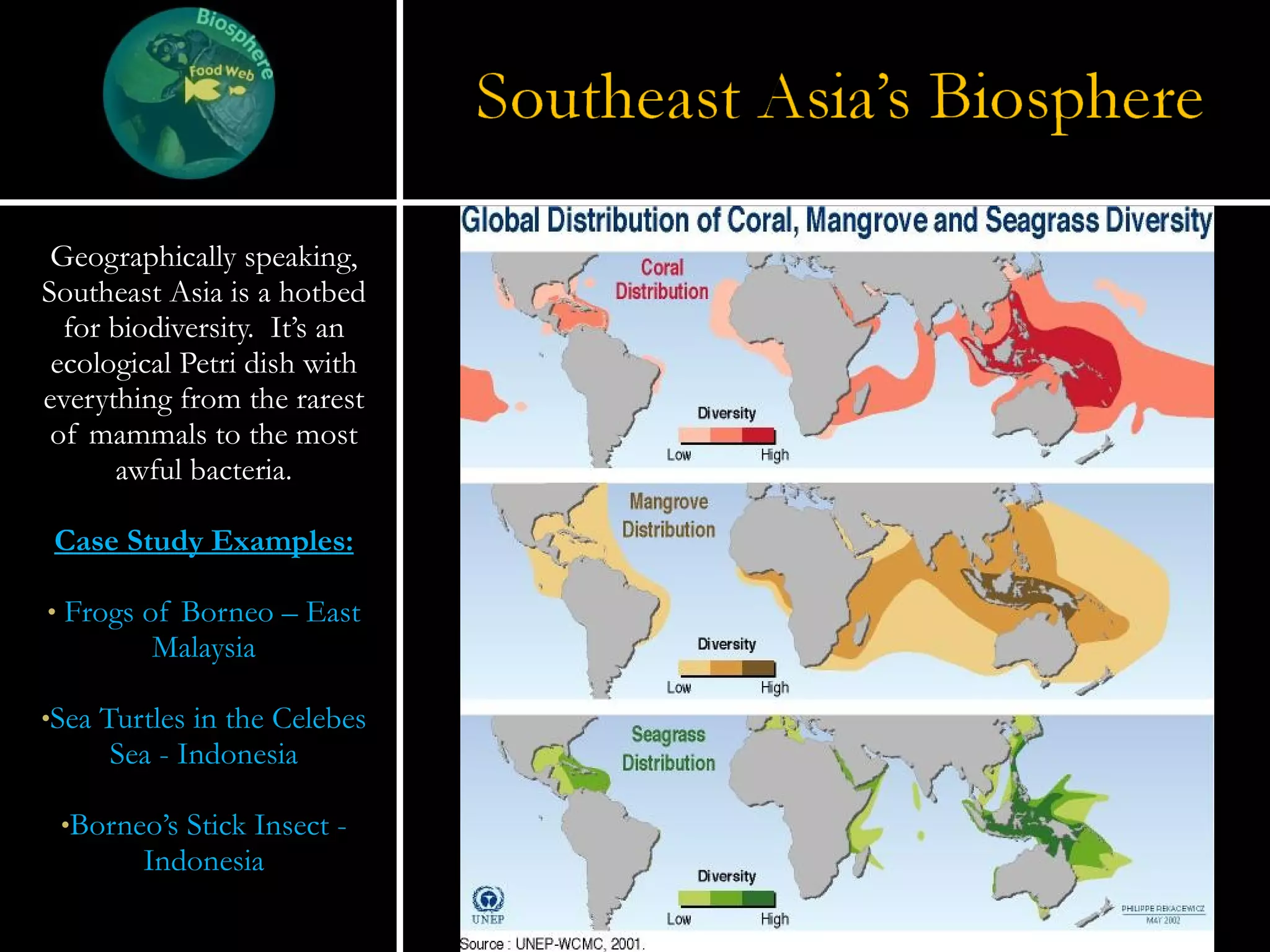 Geographically speaking, Southeast Asia is a hotbed for biodiversity.  It’s an ecological Petri dish with everything from the rarest of mammals to the most awful bacteria. Case Study Examples: Frogs of Borneo – East Malaysia Sea Turtles in the Celebes Sea - Indonesia Borneo’s Stick Insect - Indonesia 