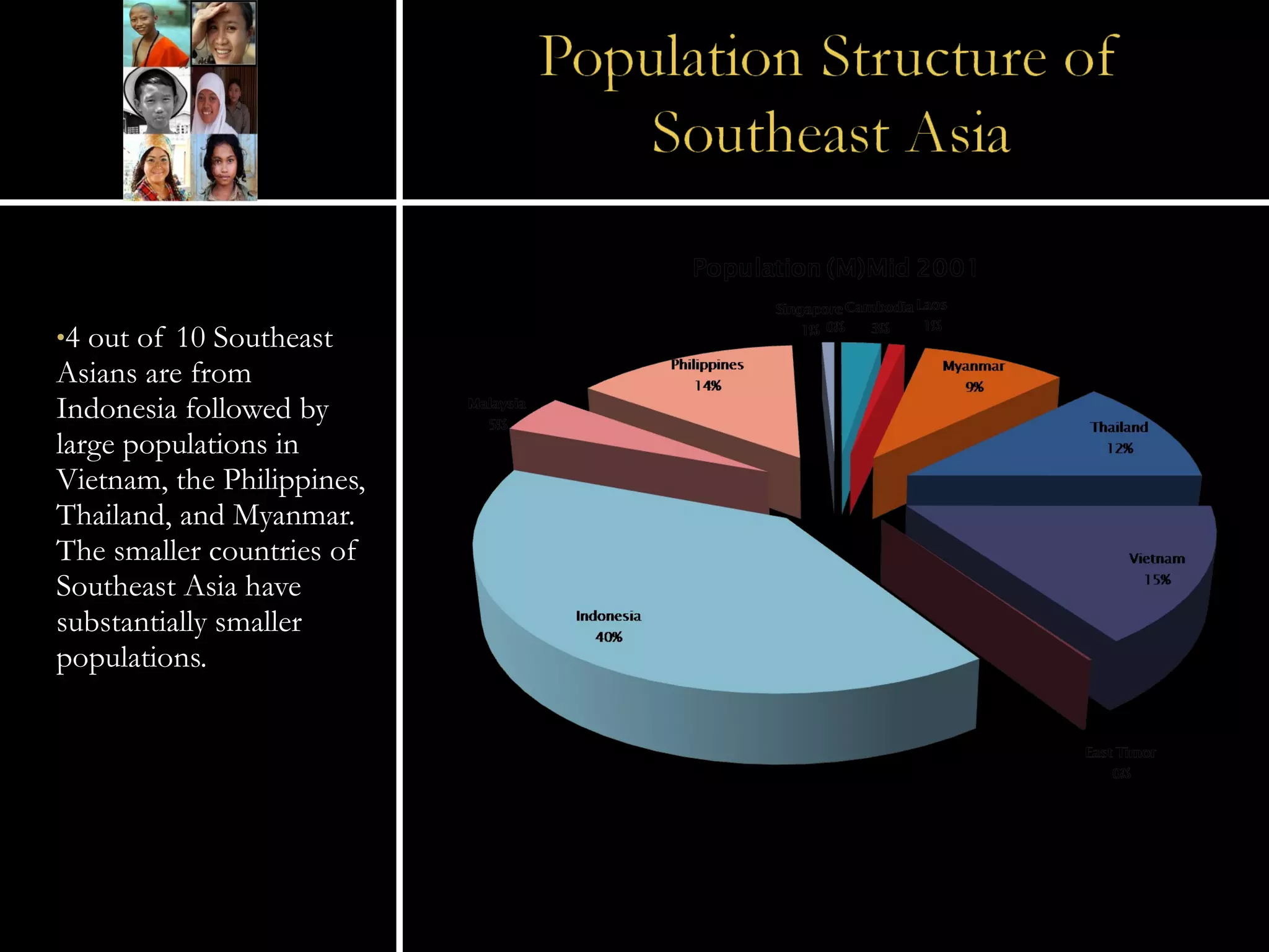 4 out of 10 Southeast Asians are from Indonesia followed by large populations in Vietnam, the Philippines, Thailand, and Myanmar.  The smaller countries of Southeast Asia have substantially smaller populations. 
