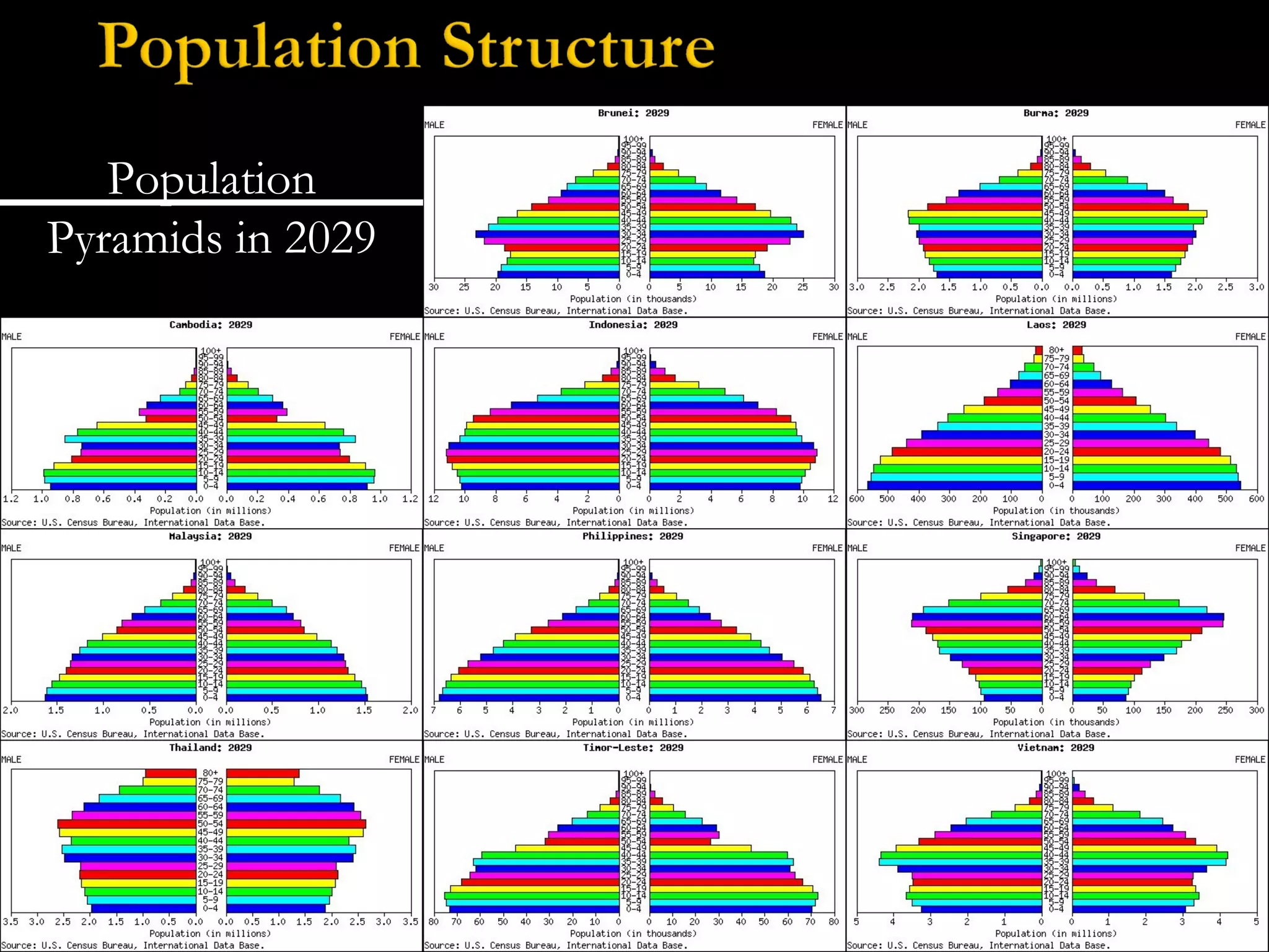 Population Pyramids in 2029 