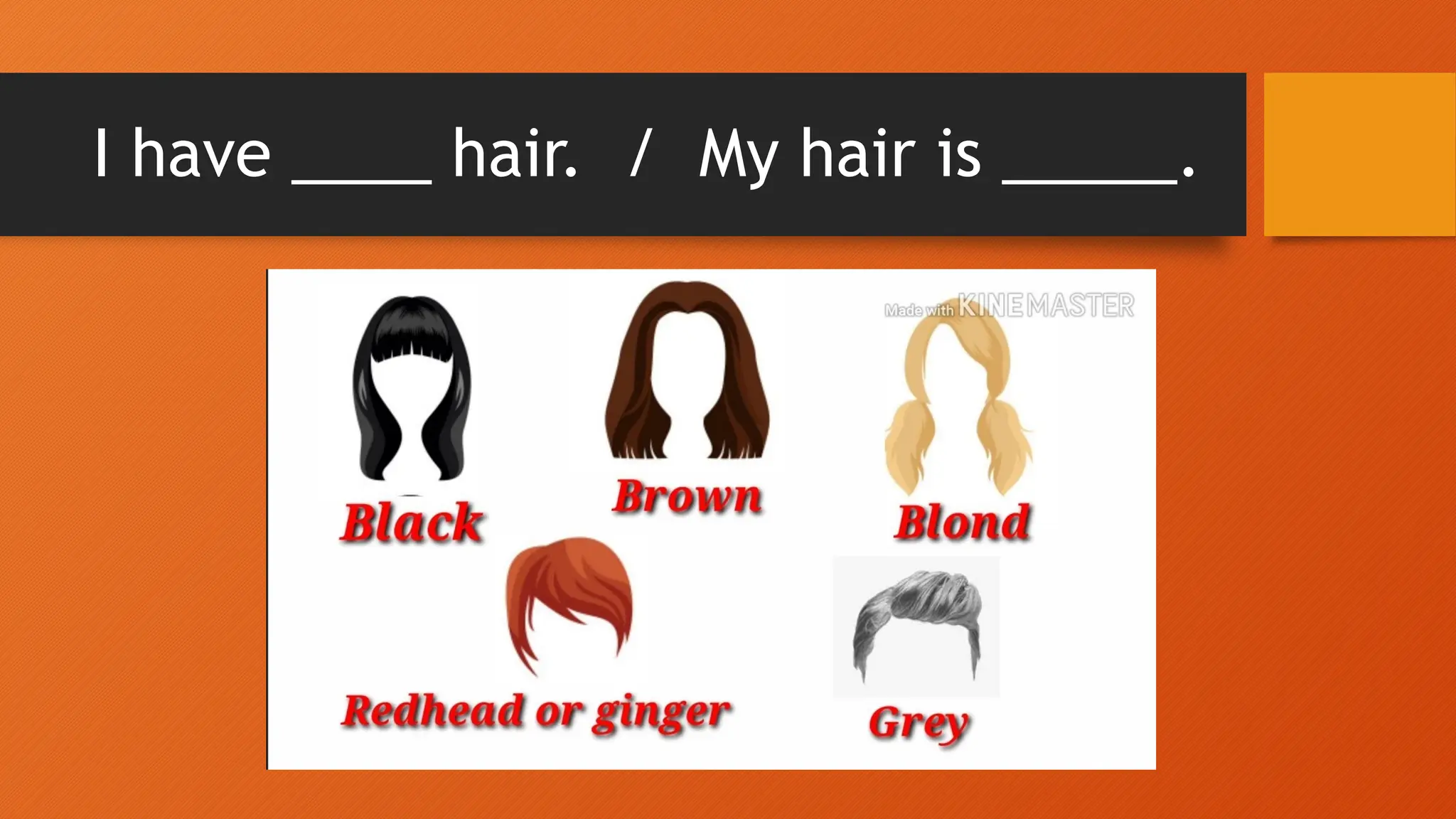 I have ____ hair. / My hair is _____.
 