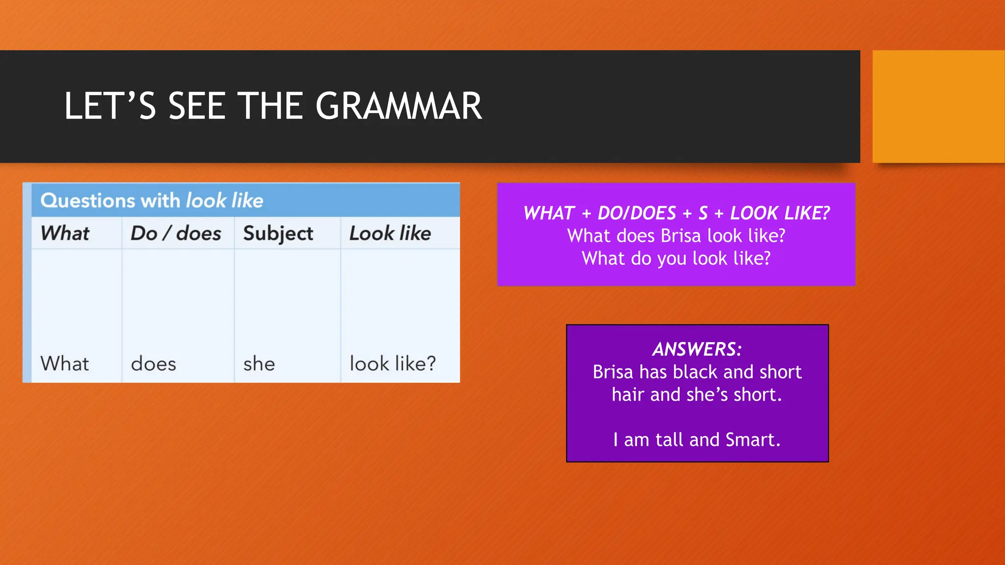 LET’S SEE THE GRAMMAR
WHAT + DO/DOES + S + LOOK LIKE?
What does Brisa look like?
What do you look like?
ANSWERS:
Brisa has black and short
hair and she’s short.
I am tall and Smart.
 