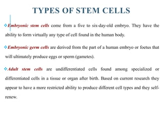 TYPES OF STEM CELLS
Embryonic stem cells come from a five to six-day-old embryo. They have the
ability to form virtually any type of cell found in the human body.
Embryonic germ cells are derived from the part of a human embryo or foetus that
will ultimately produce eggs or sperm (gametes).
Adult stem cells are undifferentiated cells found among specialized or
differentiated cells in a tissue or organ after birth. Based on current research they
appear to have a more restricted ability to produce different cell types and they self-
renew.
 