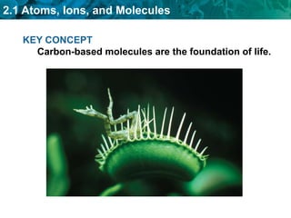 KEY CONCEPTCarbon-based molecules are the foundation of life. 