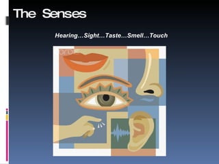 The Senses Hearing…Sight…Taste…Smell…Touch 