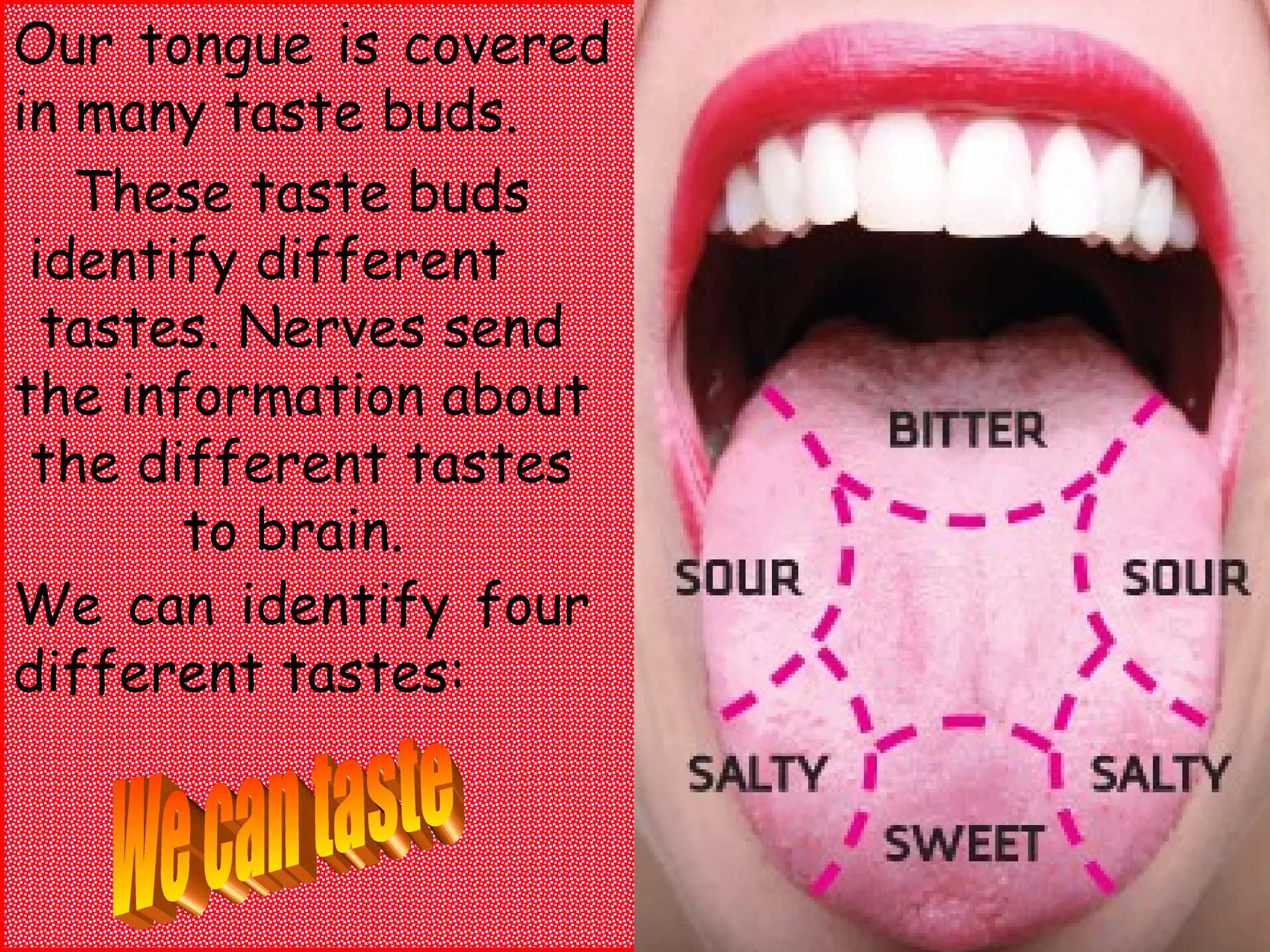Our tongue is covered
in many taste buds.
   These taste buds
 identify different
  tastes. Nerves send
the information about
 the different tastes
       to brain.
We can identify four
different tastes:
 