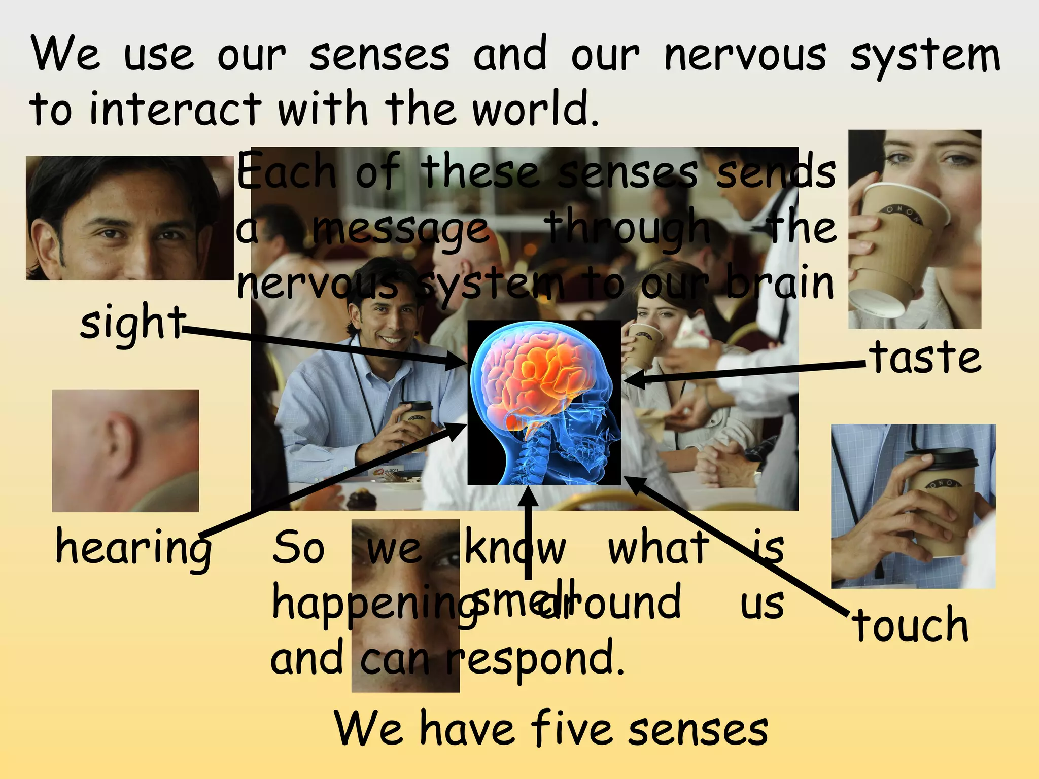 We use our senses and our nervous system
to interact with the world.
          Each of these senses sends
          a message through the
          nervous system to our brain
  sight
                                      taste



 hearing   So we know what is
                    smell
           happening around us      touch
           and can respond.
             We have five senses
 