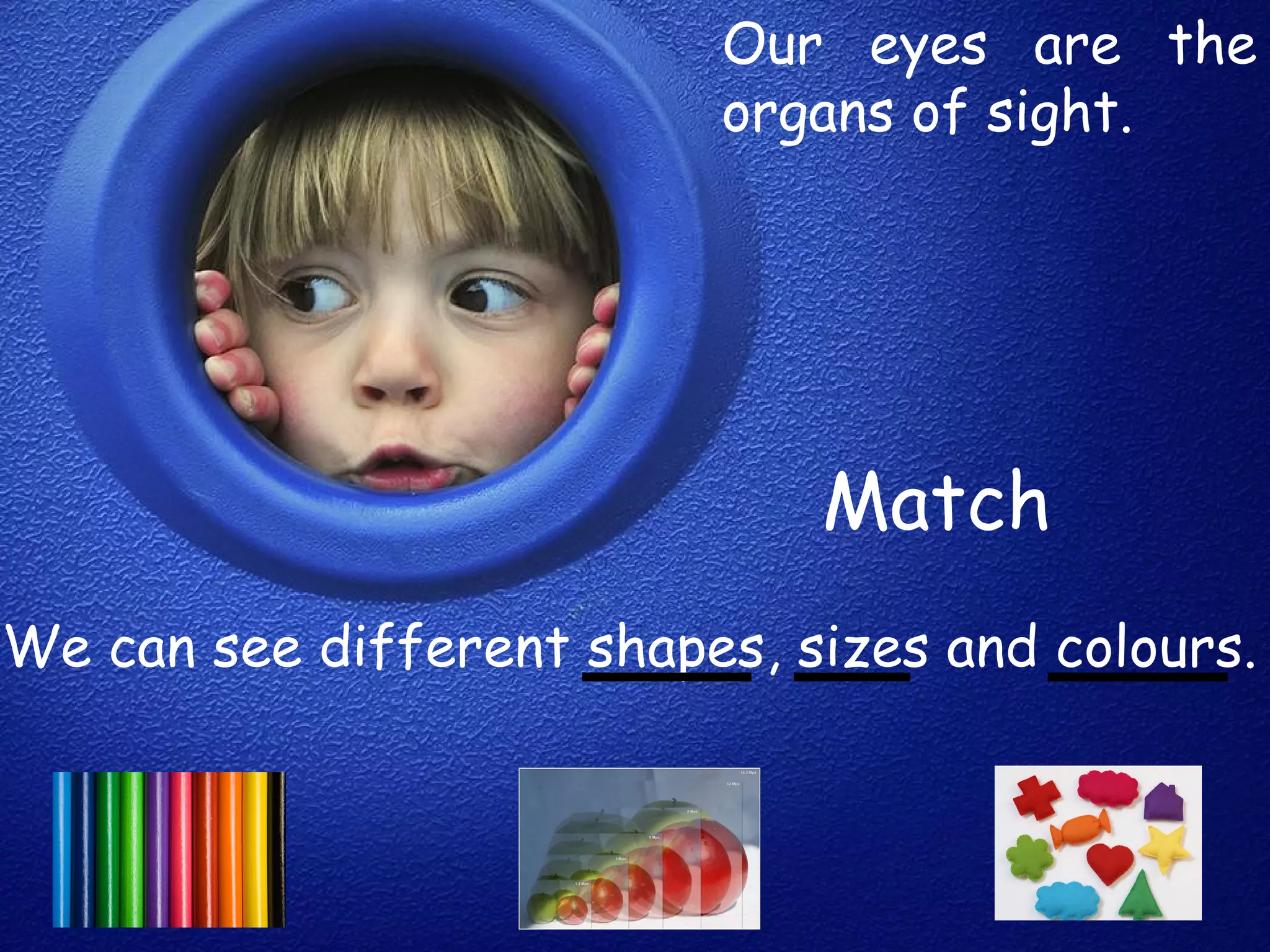 Our eyes are the
                          organs of sight.




                              Match
We can see different shapes, sizes and colours.
 