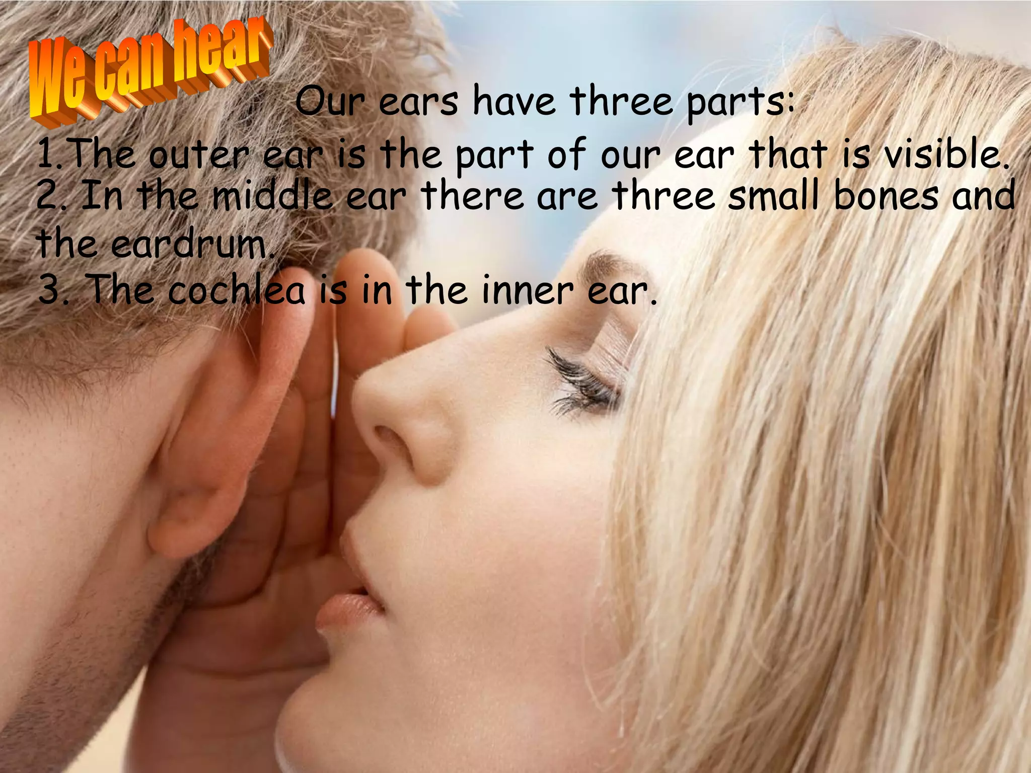 Our ears have three parts:
1.The outer ear is the part of our ear that is visible.
2. In the middle ear there are three small bones and
the eardrum.
3. The cochlea is in the inner ear.

                    Three small bones


               eardrum

                                          cochlea
 
