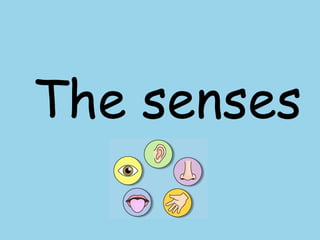 The senses
 