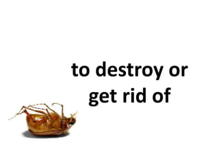to destroy or
  get rid of
 
