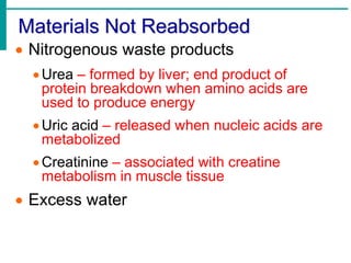 Materials Not Reabsorbed
 Nitrogenous waste products
Urea – formed by liver; end product of
protein breakdown when amino acids are
used to produce energy
Uric acid – released when nucleic acids are
metabolized
Creatinine – associated with creatine
metabolism in muscle tissue
 Excess water
 