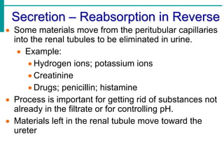 Secretion – Reabsorption in Reverse
 Some materials move from the peritubular capillaries
into the renal tubules to be eliminated in urine.
 Example:
 Hydrogen ions; potassium ions
 Creatinine
 Drugs; penicillin; histamine
 Process is important for getting rid of substances not
already in the filtrate or for controlling pH.
 Materials left in the renal tubule move toward the
ureter
 