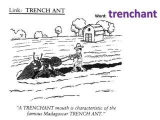 Word: trenchant
 