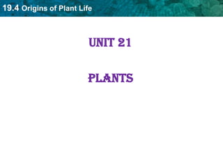 Unit 21 Plants 