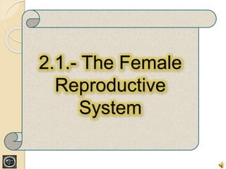2.1.- The Female 
Reproductive 
System 
 