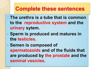 Complete these sentences 
The urethra is a tube that is common 
to the reproductive system and the 
urinary sytem. 
• Sperm is produced and matures in 
the testicles. 
• Semen is composed of 
spermatozoids and of the fluids that 
are produced by the prostate and the 
seminal vesicles. 
 