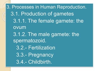 3. Processes in Human Reproduction. 
3.1. Production of gametes 
3.1.1. The female gamete: the 
ovum 
3.1.2. The male gamete: the 
spermatozoid. 
3.2.- Fertilization 
3.3.- Pregnancy 
3.4.- Childbirth. 
 