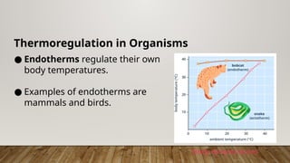 Thermoregulation in Organisms
● Endotherms regulate their own
body temperatures.
● Examples of endotherms are
mammals and birds.
Body temperatures
 