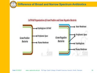 Difference B/W Broad and Narrow Spectrum, Important Terms | PPTX