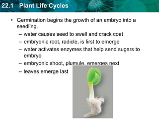 Seeds begin to grow when environmental conditions are favorable.Seed dormancy is a state in which the embryo has stopped growing. Dormancy may end when conditions are favorable.