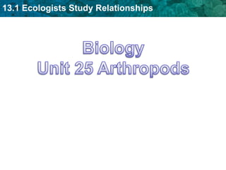 BiologyUnit 25 Arthropods 