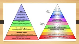 Case Study: Amina
• What stage of Maslow’s hierarchy of needs is Amina when she first arrived
in England?
• Where is she n...