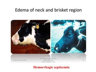 Unit 25 Diseases of Cattle and Buffalo.pptx