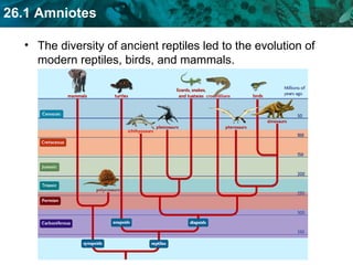 The diversity of ancient reptiles led to the evolution of modern reptiles, birds, and mammals.  