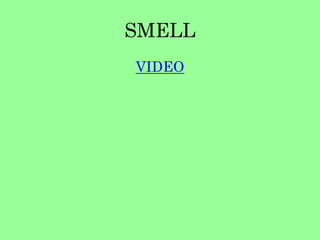 SMELL 
VIDEO 
 