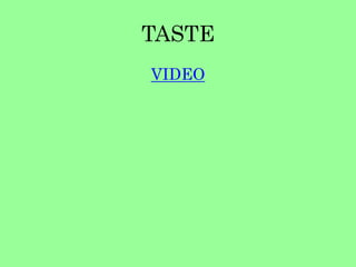 TASTE 
VIDEO 
 