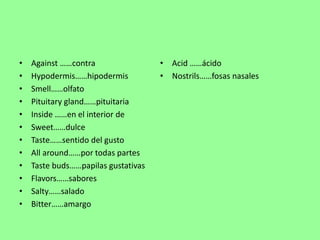 • Against ……contra 
• Hypodermis……hipodermis 
• Smell……olfato 
• Pituitary gland……pituitaria 
• Inside ……en el interior de 
• Sweet……dulce 
• Taste……sentido del gusto 
• All around……por todas partes 
• Taste buds……papilas gustativas 
• Flavors……sabores 
• Salty……salado 
• Bitter……amargo 
• Acid ……ácido 
• Nostrils……fosas nasales 
 