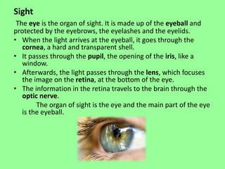 Sight 
The eye is the organ of sight. It is made up of the eyeball and 
protected by the eyebrows, the eyelashes and the eyelids. 
• When the light arrives at the eyeball, it goes through the 
cornea, a hard and transparent shell. 
• It passes through the pupil, the opening of the iris, like a 
window. 
• Afterwards, the light passes through the lens, which focuses 
the image on the retina, at the bottom of the eye. 
• The information in the retina travels to the brain through the 
optic nerve. 
The organ of sight is the eye and the main part of the eye 
is the eyeball. 
 