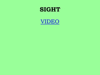 SIGHT 
VIDEO 
 