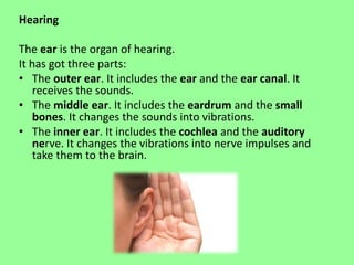 Hearing 
The ear is the organ of hearing. 
It has got three parts: 
• The outer ear. It includes the ear and the ear canal. It 
receives the sounds. 
• The middle ear. It includes the eardrum and the small 
bones. It changes the sounds into vibrations. 
• The inner ear. It includes the cochlea and the auditory 
nerve. It changes the vibrations into nerve impulses and 
take them to the brain. 
 