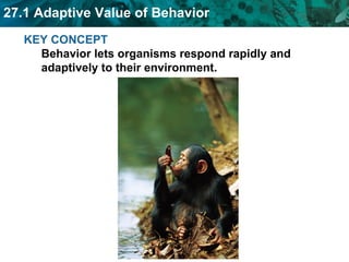 KEY CONCEPT  Behavior lets organisms respond rapidly and adaptively to their environment.  