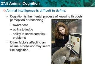 Think Animal Unit 27 Behavioral Biology | PPT