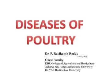 Dr. P. Ravikanth Reddy
MVSc, PhD
Guest Faculty
KBR College of Agriculture and Horticulture
Acharya NG Ranga Agricultural University
Dr. YSR Horticulture University
 