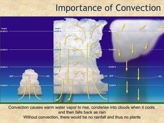 Importance of ConvectionConvection causes warm water vapor to rise, condense into clouds when it cools, and then falls back as rainWithout convection, there would be no rainfall and thus no plants