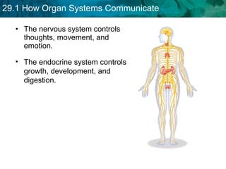 The nervous system controls thoughts, movement, and emotion.   The endocrine system controls growth, development, and digestion. 